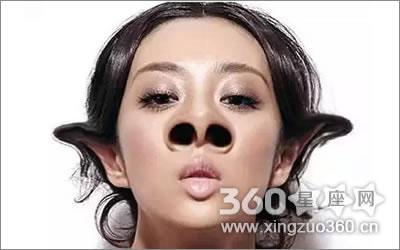 朝天鼻有什么寓意吗?