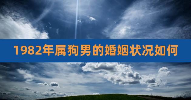 属狗人喜欢一个人会中途放弃吗