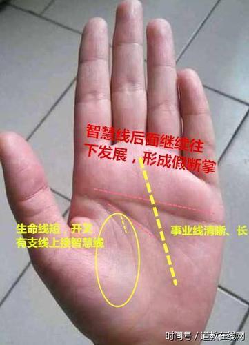 看什么手相的男人容易当领导飞黄腾达