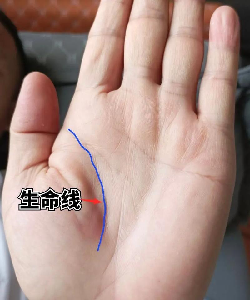 男人手相怎么看寿命长短,男人手相解析