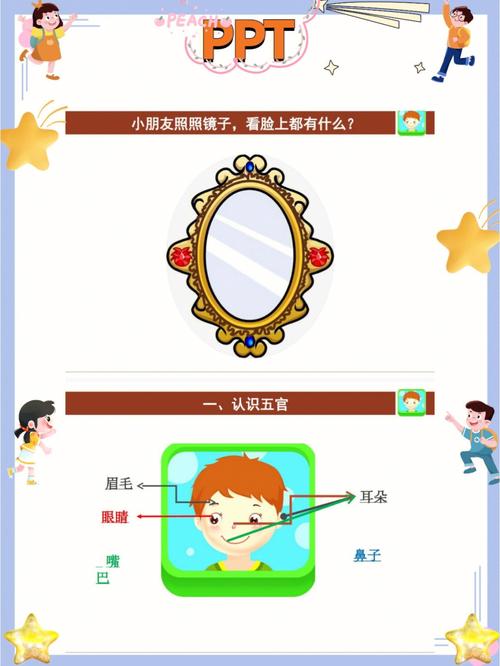 以五官为依据 五官是指什么内容