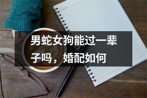 男蛇女狗根本没感情,二人结婚好吗