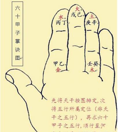 甲子日柱男命运解析