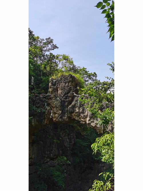 梦见下陡坡 梦见下陡坡过河