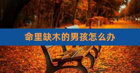 男孩木命好不好