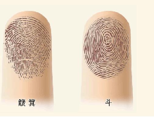 9个螺的女人命好吗