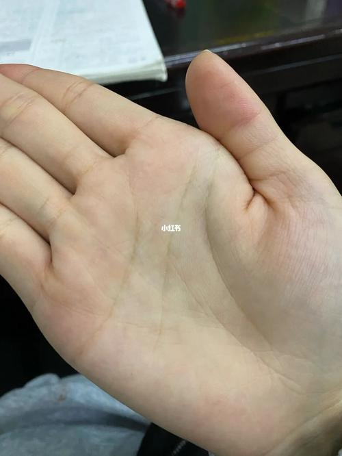 川字掌的人真的会离婚吗