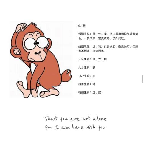 生肖猴该如何挽回破碎的爱情