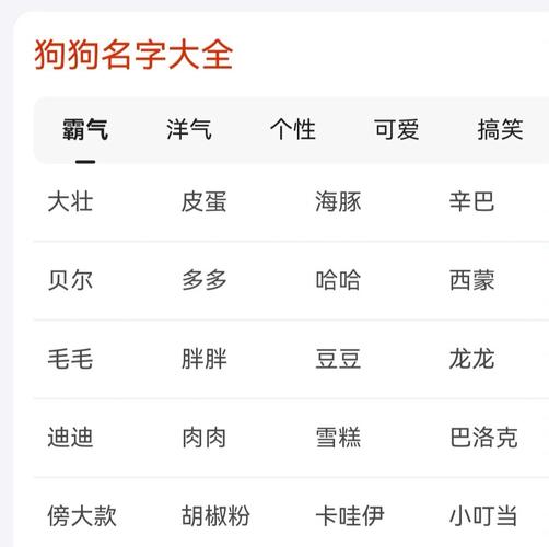 洋气的狗狗名字大全