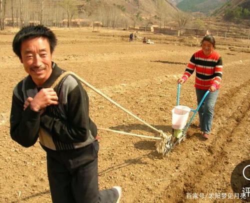 梦见农村暗示着什么?