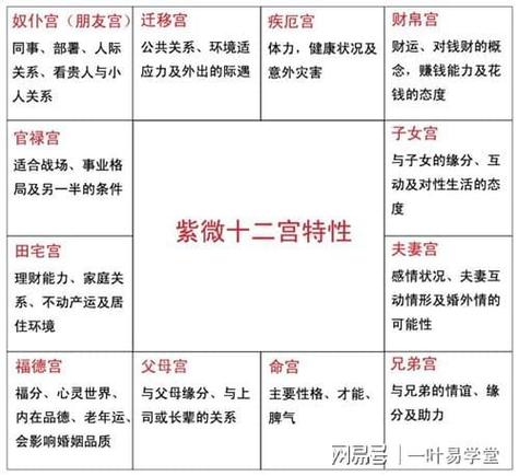 紫微斗数术语,紫微斗数名词解释
