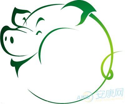 生肖猪的人出生在清明节命运如何?一生富贵吗?