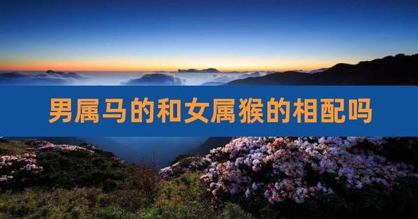 男属马女属猴婚姻合吗
