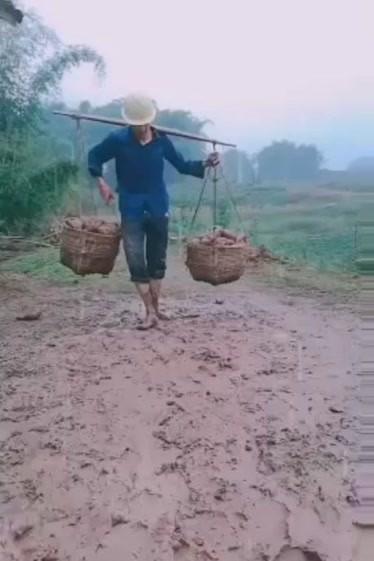 梦见挑担子是什么意思