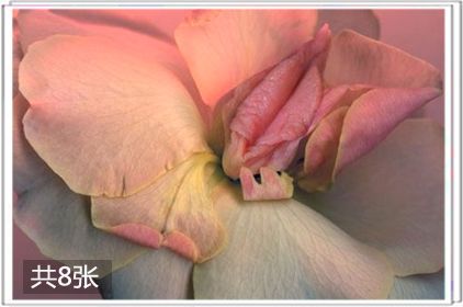 女人名器的面相