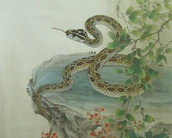 蛇年出生的人今年多大