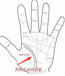 手上有两条生命线代表什么