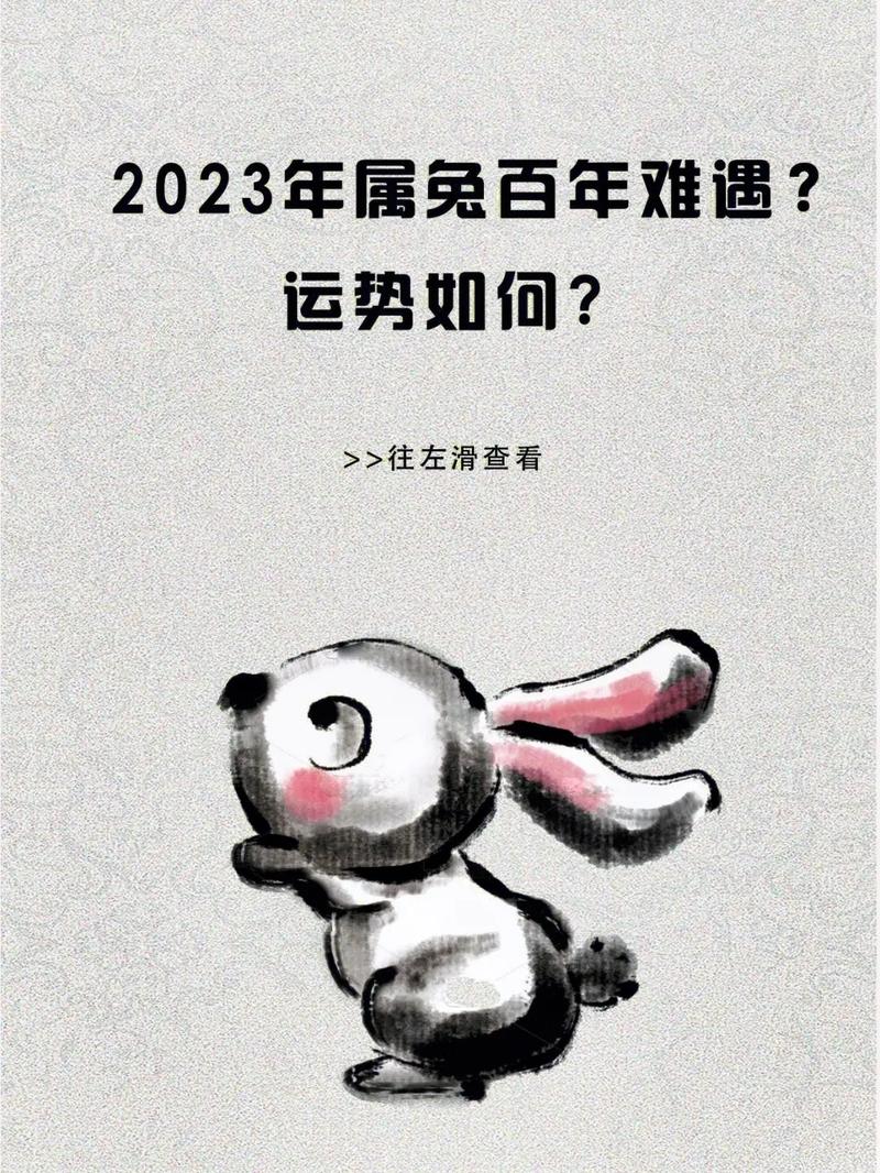 鸡在兔年运势2023运势详解