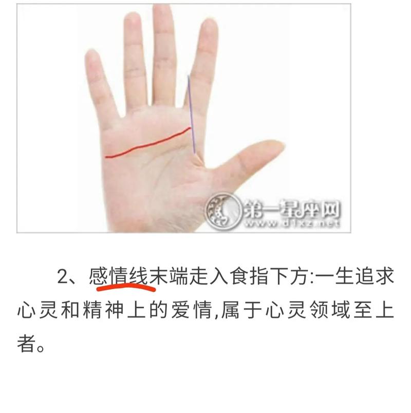 感情线分叉到生命线的人与初恋多是有缘无份