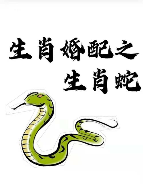 生肖蛇本周综合生肖运势如何