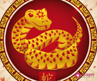 12星座的专属蛇种