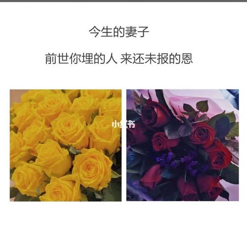 你的妻子是上辈子埋你的人吗
