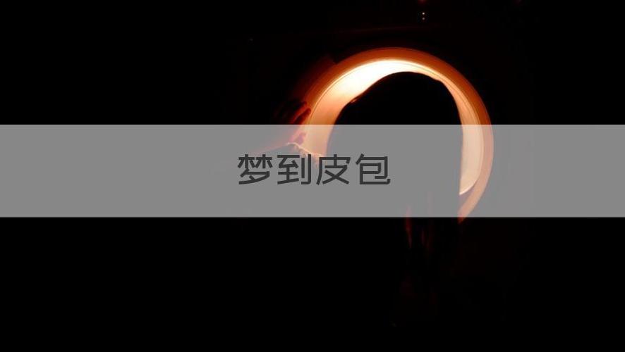 梦见皮包是什么意思