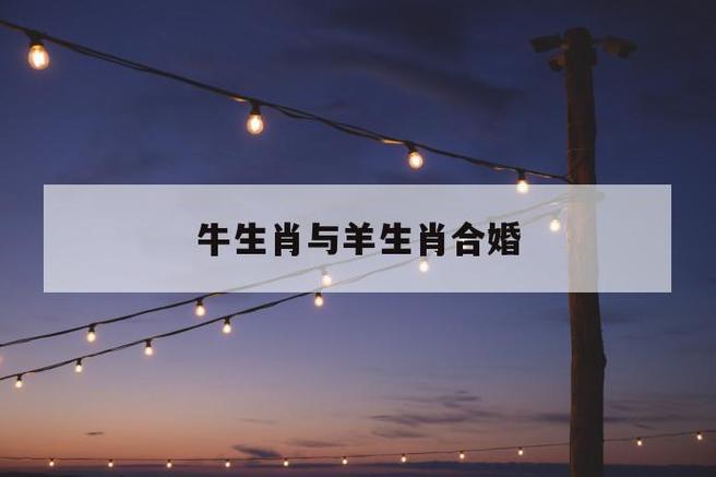 属羊女和属牛男能顺利结婚吗?属牛男有何缺点?