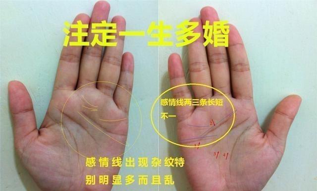 红颜薄命的人手相是什么样