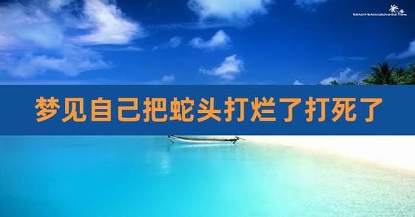 梦见自己把蛇头打烂了,做梦梦见打烂蛇头