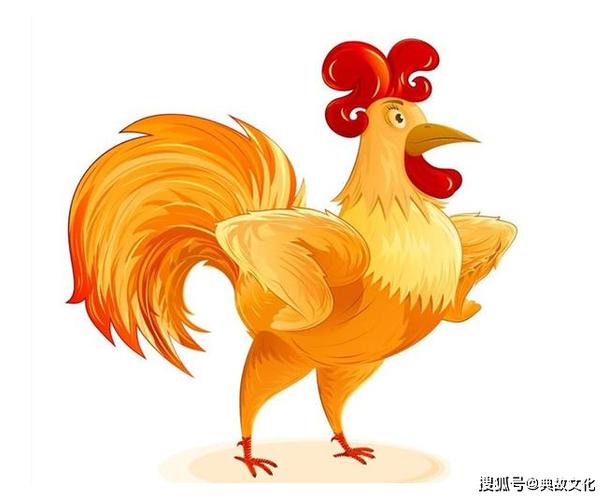 属鸡人永远最旺的颜色