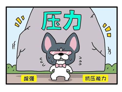 不认输,打击多就有出息的星座
