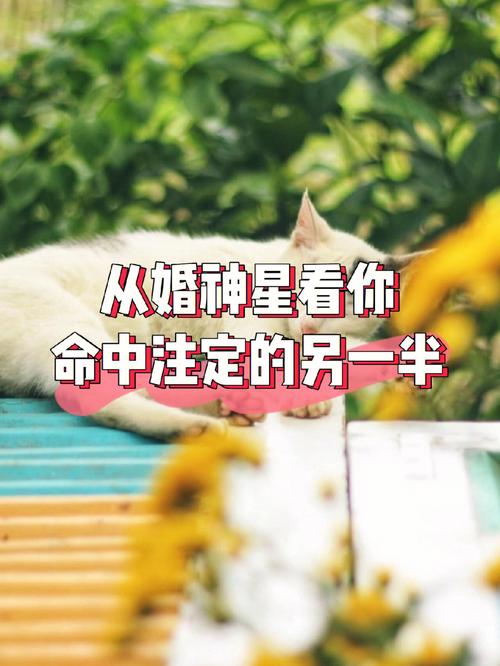 命中注定的姻缘躲不掉,如何看命中的另一半