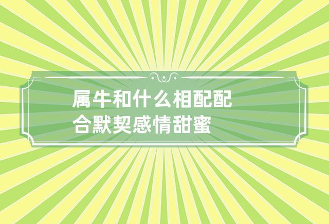跟属牛的人谈恋爱要慢慢来