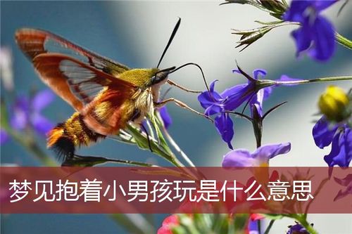 梦见抱着男孩玩是什么意思