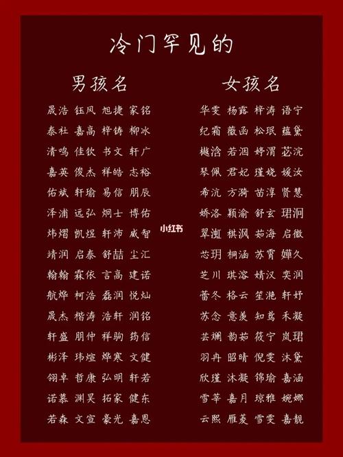 冷门独特的男孩名字最后一个字是永