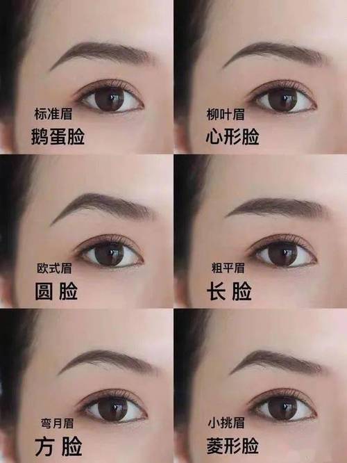 清秀眉毛有什么特征
