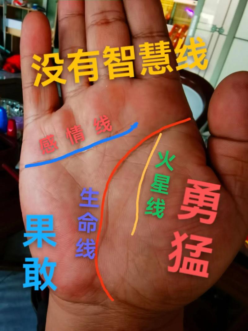注定有钱的男人手相
