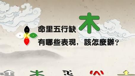 大林木命五行缺什么,大林木命五行缺乏
