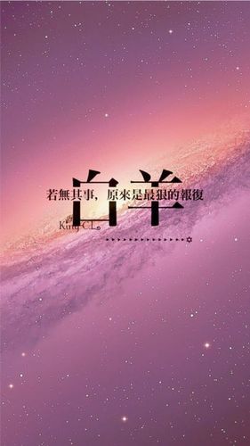 白羊座的完美伴侣