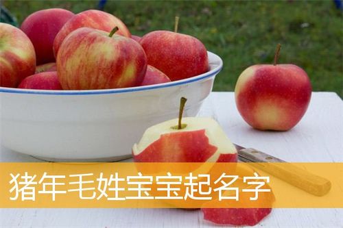 属猪的毛姓男宝宝名字