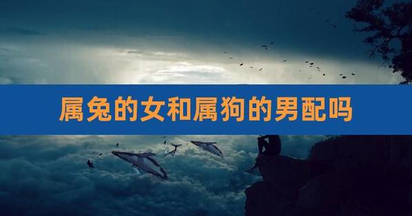 女狗和男兔合不合?属兔男喜欢什么样的女生?