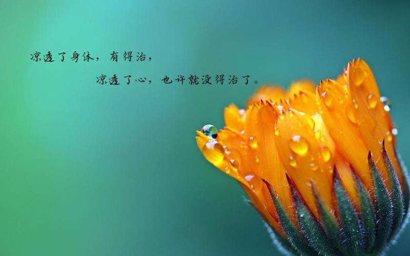男人的哪些行为会让12星女心凉透