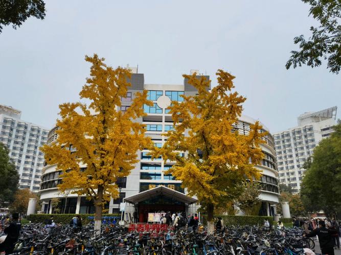 大门两旁不能有两棵树吗