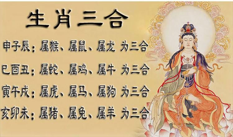 生肖龙的三合贵人,生肖龙与哪几个是三合