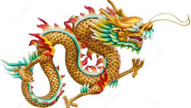 二十六日生属龙人命运好吗？