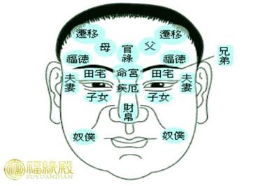 面相十二宫:官禄宫看事业详解