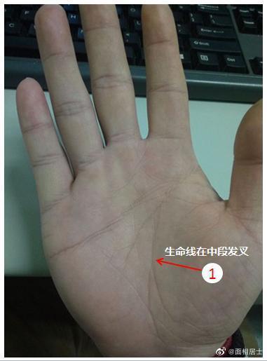生命线中间分叉
