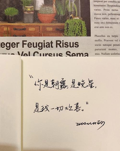梦见朝露闪烁发亮怎么回事