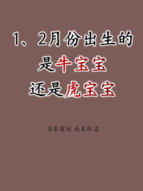 属虎生属牛的宝宝好吗